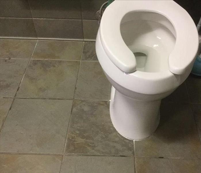 Toilet in a commercial building